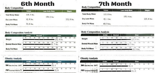 Body Scan Results of 2 months on keto