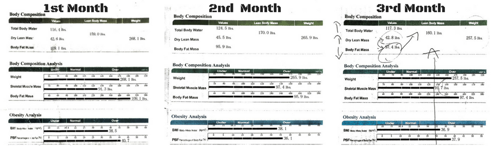 Body scan results from 3 months of Balanced diet